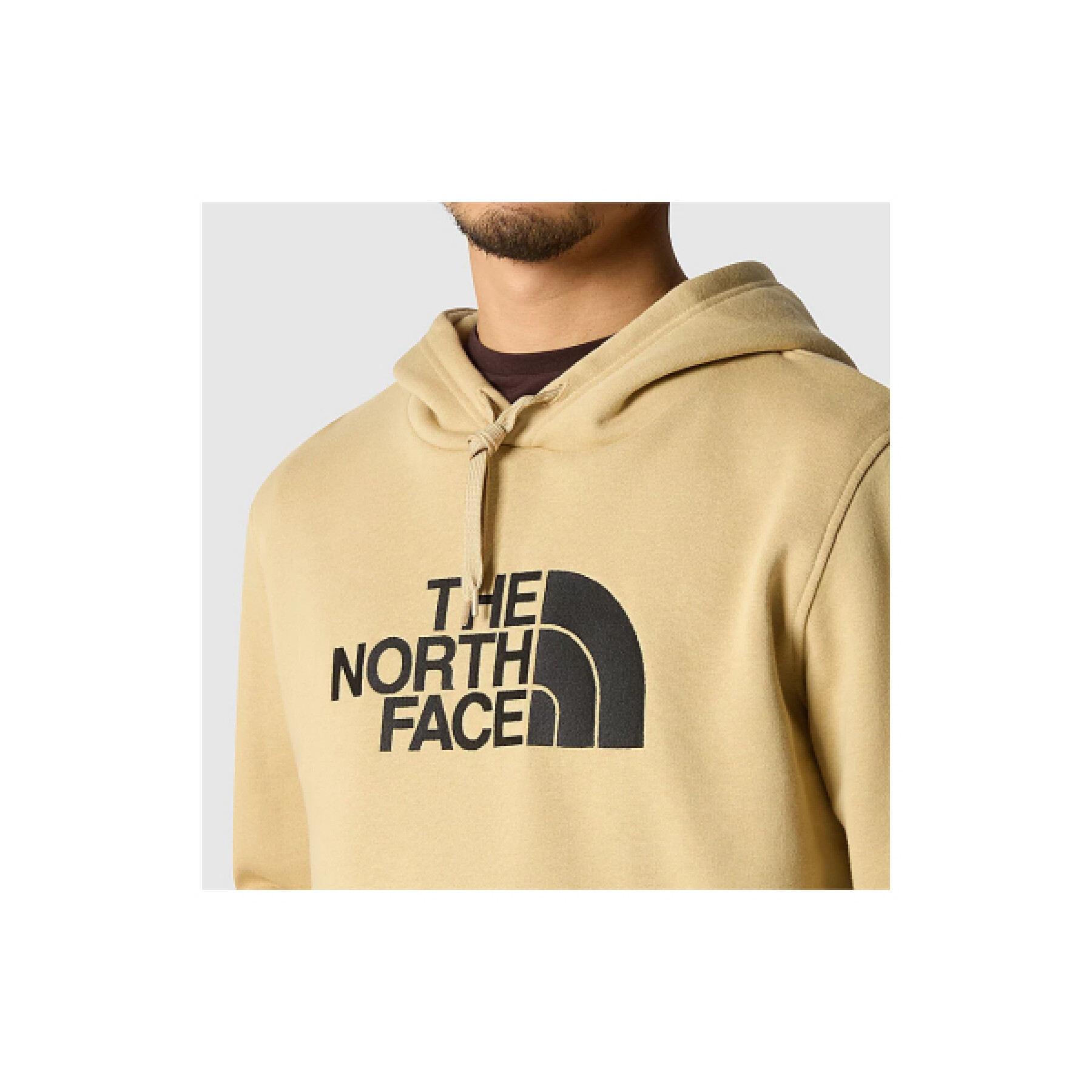 Sudadera con capucha The North Face