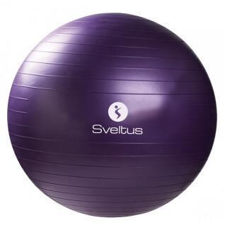 Gymball + caja Sveltus 75cm