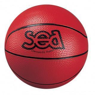 Balón de baloncesto descubrimiento Sporti France Sea