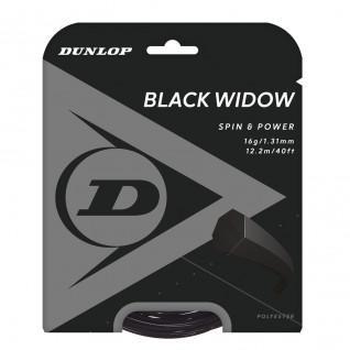 Cuerda Dunlop widow