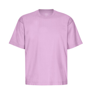 Camiseta oversize Colorful Standard Organic