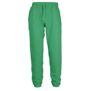 Pantalón de chándal Colorful Standard Classic Organic kelly green
