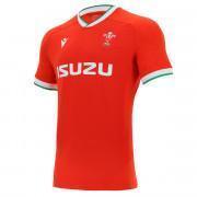 Camiseta auténtica de casa Pays de Galles rugby 2020/21