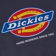 Camiseta Dickies Denison DT6010
