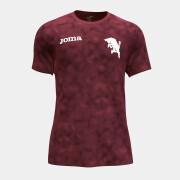 Camiseta de calentamiento Torino FC 2022/23