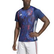 Camiseta oficial de entrenamiento del equipo de Francia 2023/24