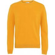 Jersey de lana con cuello redondo Colorful Standard Classic Merino burned yellow
