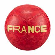 Balón France Pitch 2022/23