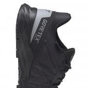 Zapatos Reebok Astroride Trail GTX 2.0