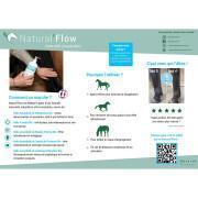 Gel de masaje para caballos Natural Flow 500ml