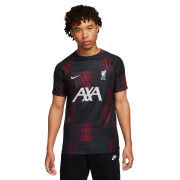 Camiseta Prematch Liverpool FC Dri-Fit Academy Pro SE 2023/24
