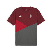 Camiseta Milan AC 2023/24